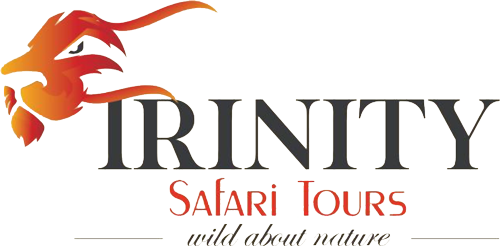 Trinity Safari Tours